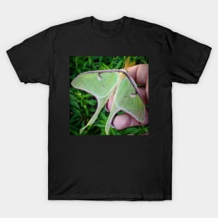 Luna Moth Friend T-Shirt